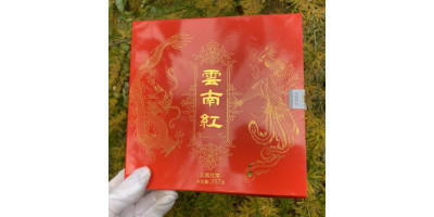 Какой китайский чай самый бодрящий? 